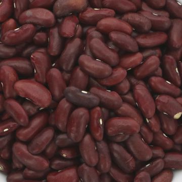 Bulk Commodities Kidney Beans - red - 25 kg (PU039)