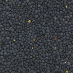 Bulk Commodities Black Beluga Lentils - 25 kg (PU006)