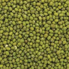 Bulk Commodities - Organic Mung Beans - organic - 25 kg (PU062)