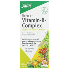 Floradix Floradix Vitamin B Complex - 250ml (MD016)